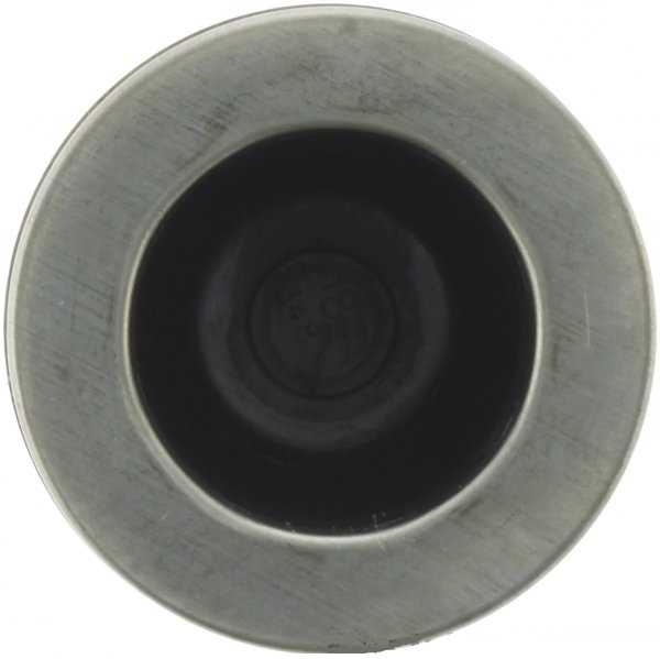 PISTÓN DE CALIPER - Trasero 51mm (Cubeta=14366017) foto 3