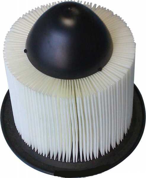 FILTRO DE AIRE - 4.6L, 5.4L, 6.8L