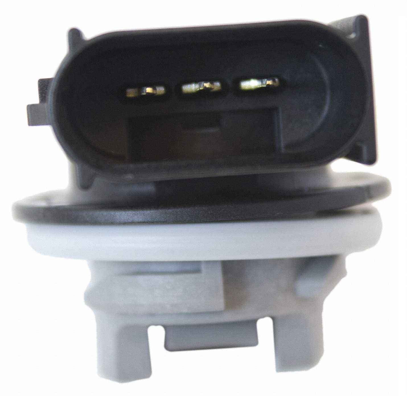 SOCKET DE FOCO foto 3