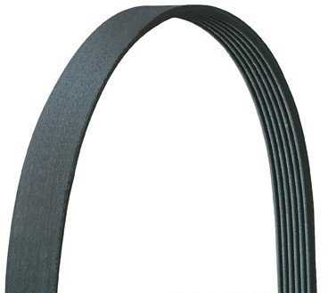 CORREA VENTILADORA - 2.9L, 3.7L 4.2L