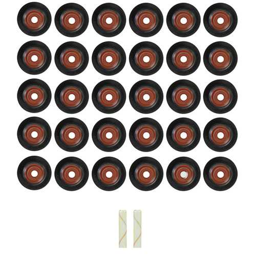 RETENES DE VÁLVULA - 30 Pzas. 6.8L, V10. (5.4L, 4.6L; 24 Pzas.)