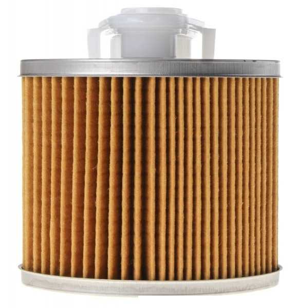 FILTRO DE GASOLINA - Incluye Regulador foto 2